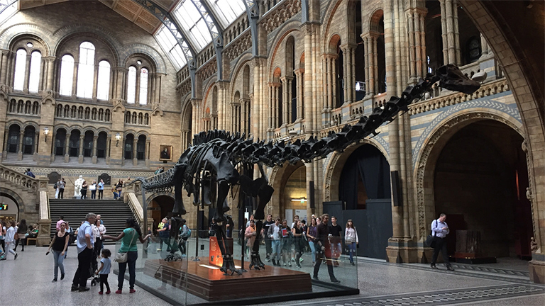 雕塑知识.jpg 雕塑知识