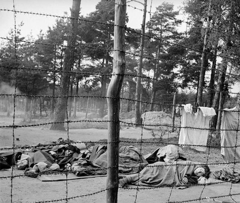 雕塑知识.jpg 雕塑知识