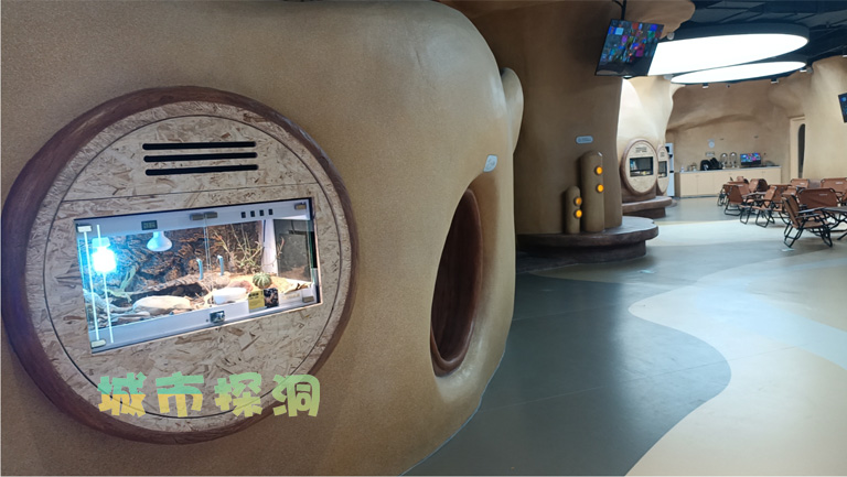 城市探洞.jpg 城市探洞.jpg