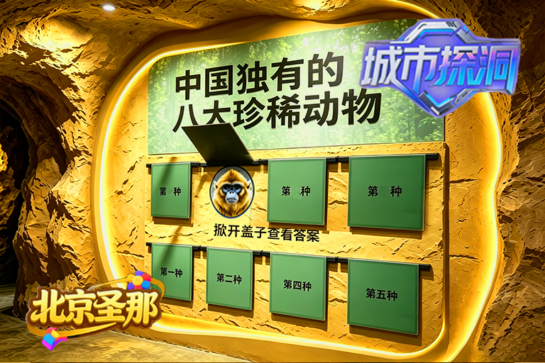 城市探洞