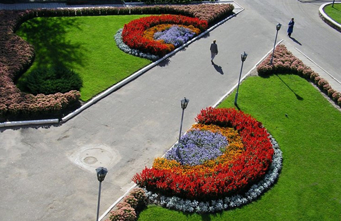 办公区绿化工程设计制作