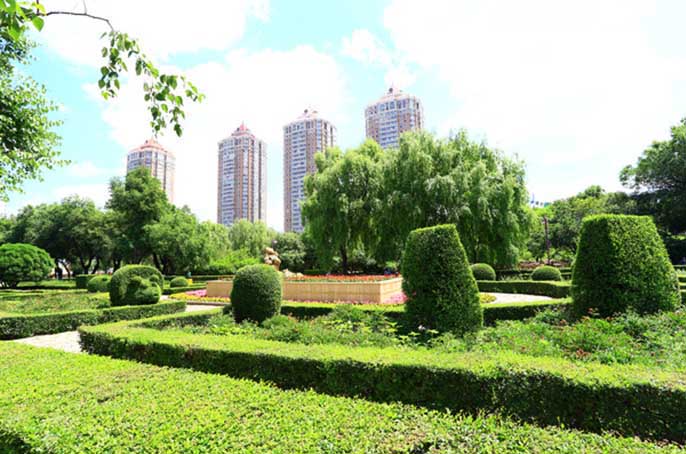 办公区绿化.jpg 办公区绿化