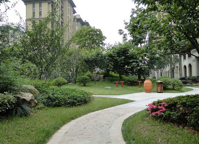 办公区绿化.jpg 办公区绿化