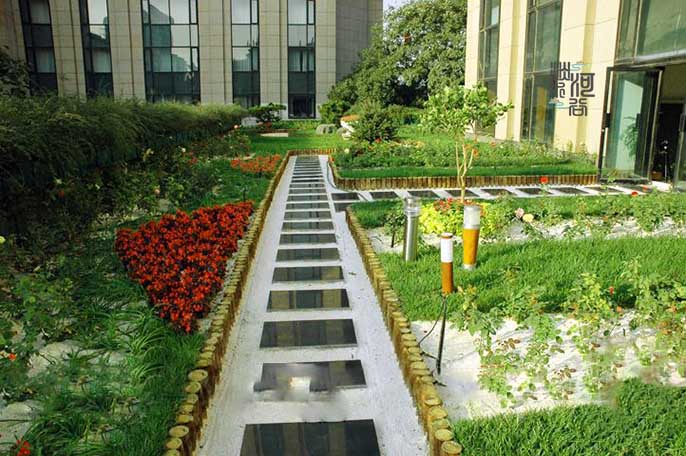 办公区绿化.jpg 办公区绿化